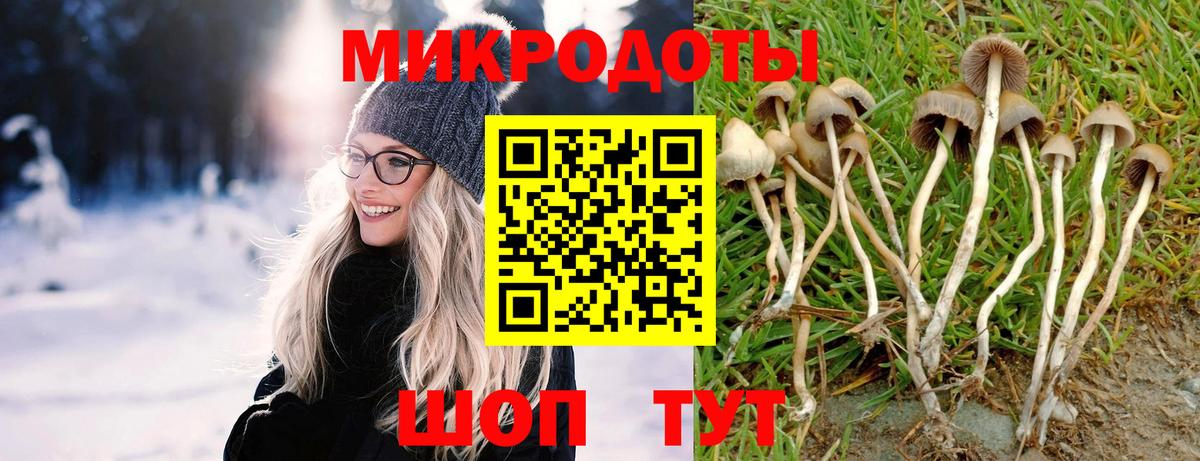 Коряжма  Псилоцибиновые грибы ЛСД  Вход с VPN  Псилоцибиновые грибы Cubensis 
